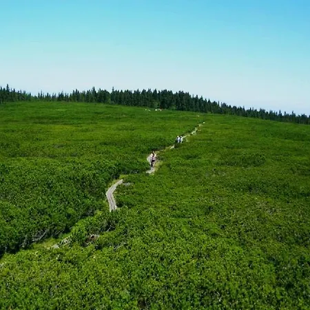 Apartma Arnika Rogla, Turisticno Naselje Nune Resnik, Resnik 110 Appartement *