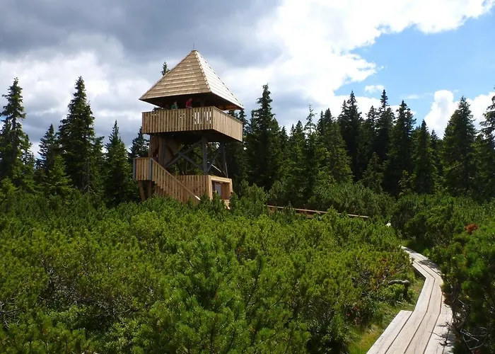 Appartement Apartma Arnika Rogla, Turisticno Naselje Nune Resnik, Resnik 110