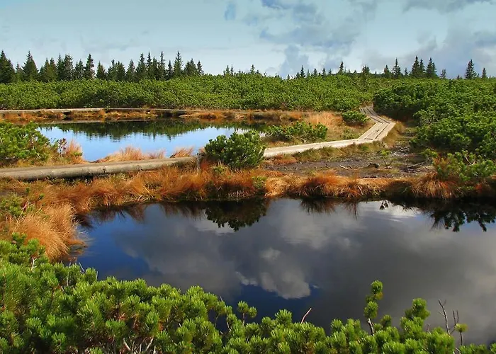 Appartement Apartma Arnika Rogla, Turisticno Naselje Nune Resnik, Resnik 110 *